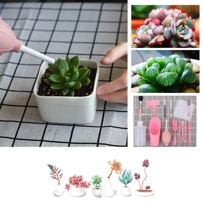 12//16Pcs Succulent Planting Tools Gardening Supplies Mini Garden Potted Tools ~