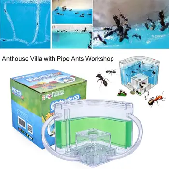 

Ants House Ant Farm Pet Toy Colorful Habitat Specially Decoration 10.8CM Funny Ant Nest Feeding Area Kids Gift Insect Villa