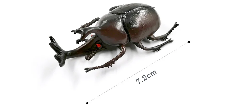 详情页-4款-昆虫甲虫等_10