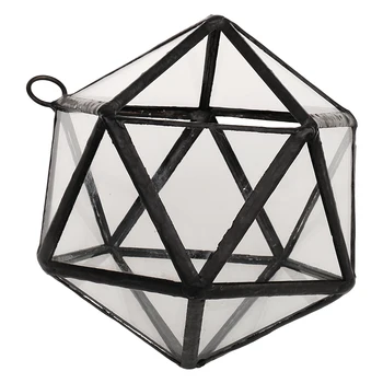 

Glass Clear Tabletop Succulent Plant Terrarium Box Hanging Planter Flower Fern Moss Pot