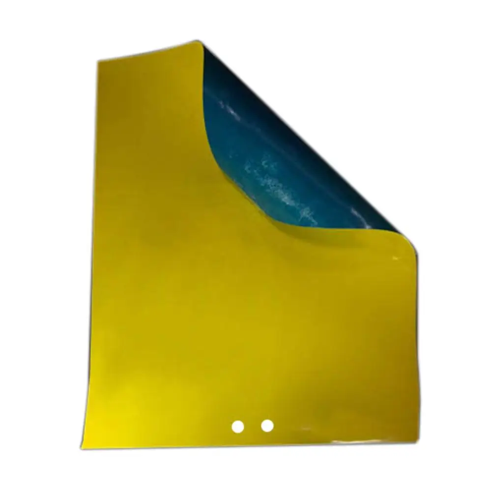 

20PC Dual-Sided Sticky Fly Traps Outdoor Fruit Fly Traps for Plant Insects Aphids Fungus Gnats Leaf Miners White Flies Garden