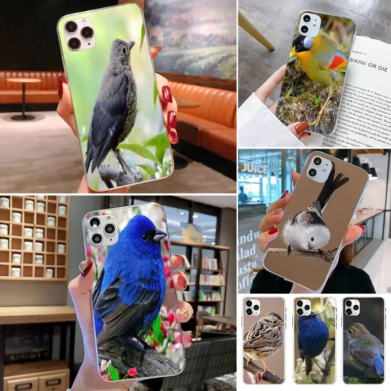 Черный мягкий чехол из ТПУ для Iphone 5 6 7 8 11 Plus XR X XS MAX SE2020 IPhone 11PRO прозрачный |