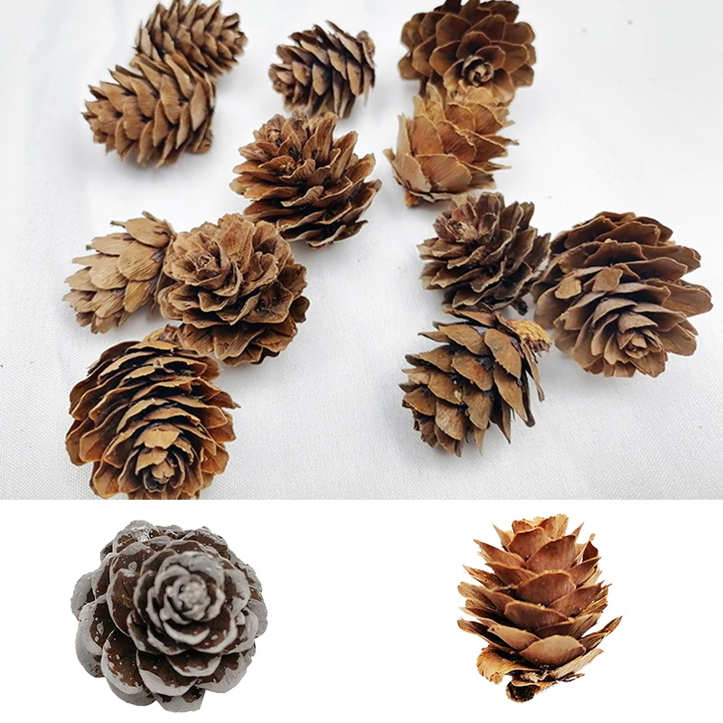 10Pcs Natural Dried Plants Pine Cone Artificial Flower For Home Christmas Decor DIY Garland Wreath Wedding Decoration Wholesale | Дом и сад