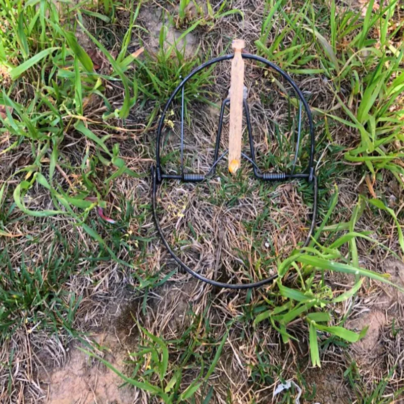 Bird Net Effective Humane Live Trap Hunting Sensitive Quail Trapping 20cm Garden Supplies Pest Control | Спорт и развлечения