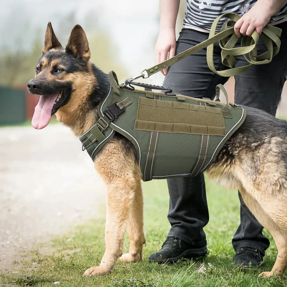 Coleira para cães, prática tática para treinamento