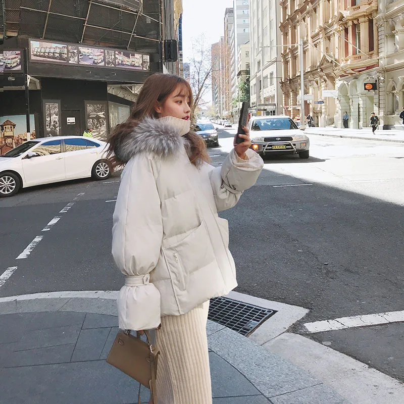 

Photo Shoot 2019 New Style Winter Cotton-padded Clothes Women's Short Cotton Coat Korean-style Loose-Fit down Coat Short-height