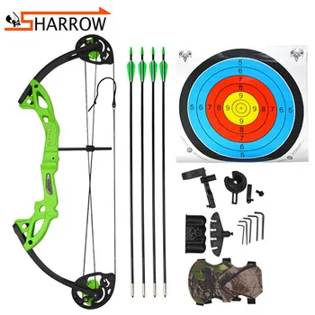 

1set 15-29lbs Bow And Arrow Shooting Compound Bow Set With 4pcs Arrows Teen Archery Training Outdoor Hunting Sports Pulley Bow