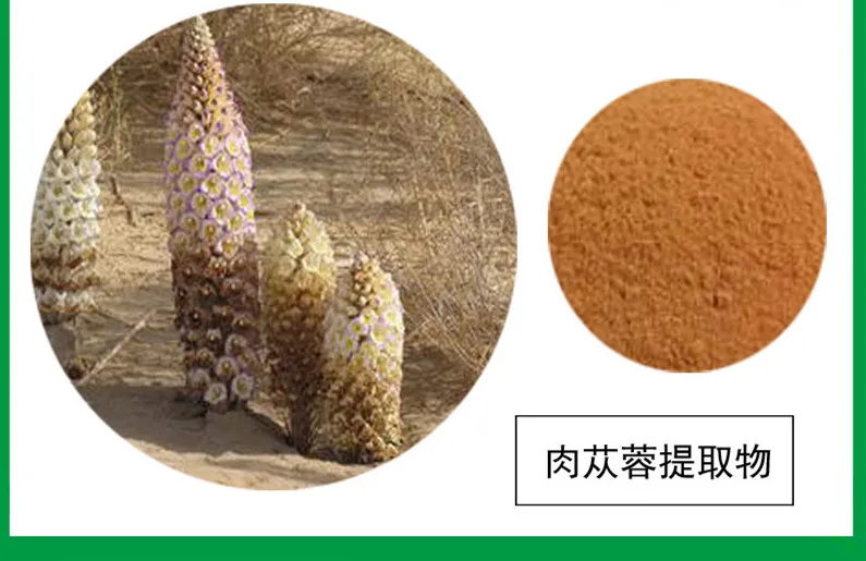 

New quality Cistanche extract powder, no added, Cistanche deserticola Ma root Desertliving Cistanche nutrition Tonifying kidney