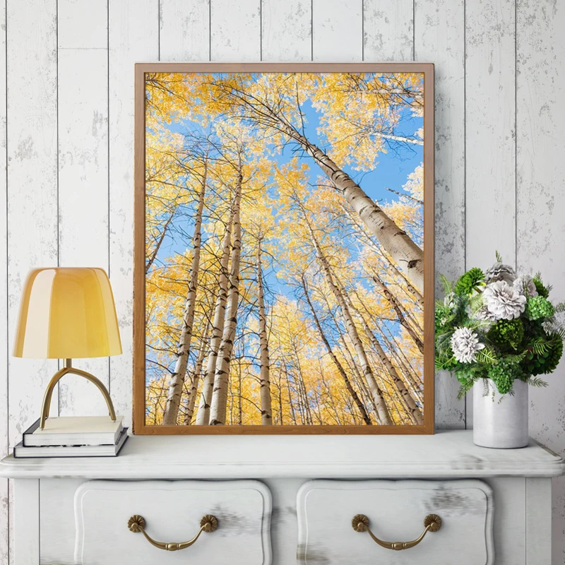 Yellow-Birch-Tree-Photo-Poster-Prints-Autumn-Nature-Landscape-Painting-Canvas-Picture-Modern-Living-Room-Bedroom