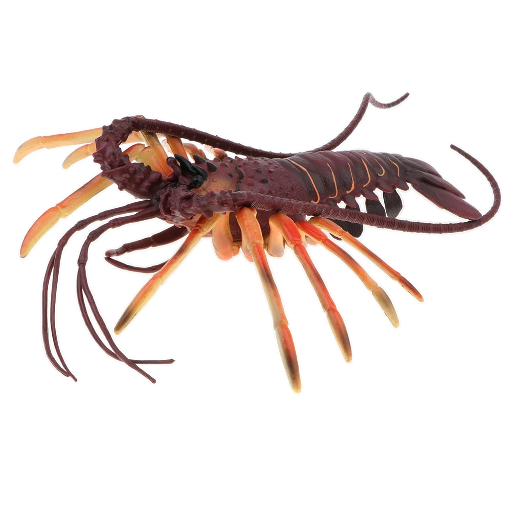Plastic 15 Inch Spiny Lobster Ocean Creature Animal Model Figurine, Kids Teaching Toy Collectible