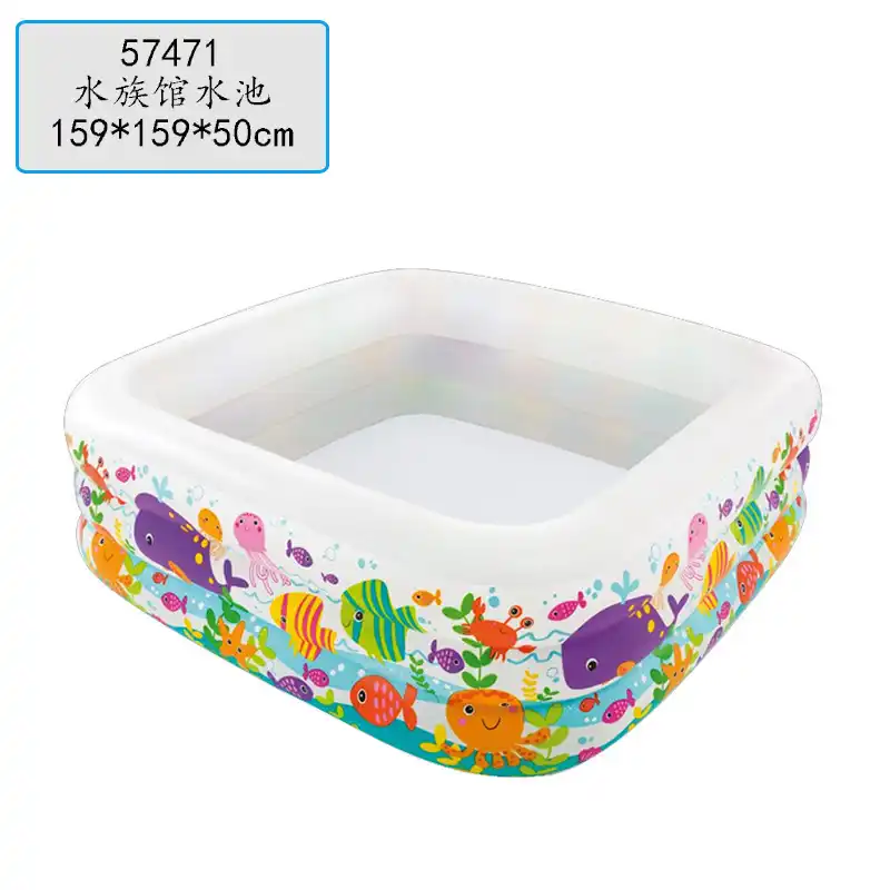 indoor dog water park