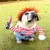 Pet Dog Funny Clothes Собаки Косплей Костюм Хэллоуин Рождество Комичные Наряды С Париком Набор Pet Cat Dog Festival Party Clothing