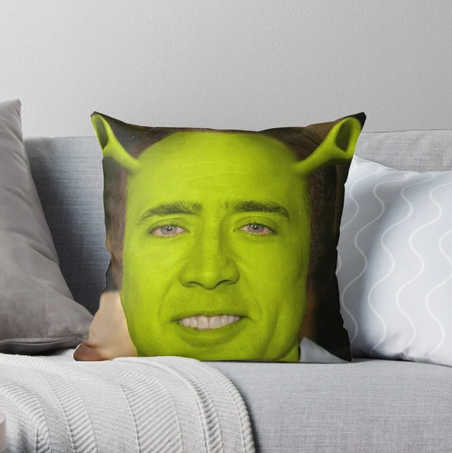 Shrek Meme Throw Pillow - Pillow Case - AliExpress