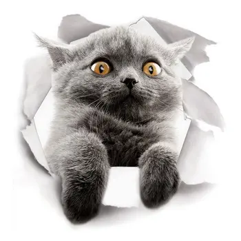 

Human Tracking Cctv Camera Outdoor 1080P Dome Ptz Surveillance Camera De Seguridad Ip Wifi Exterior Home Security Camera P50135