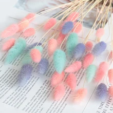 20 шт. Натуральные сушеные цветы лагурус белые Искусственные цветы красочные поддельные кроличий хвост трава оватус Лисохвост букет длинные пучки