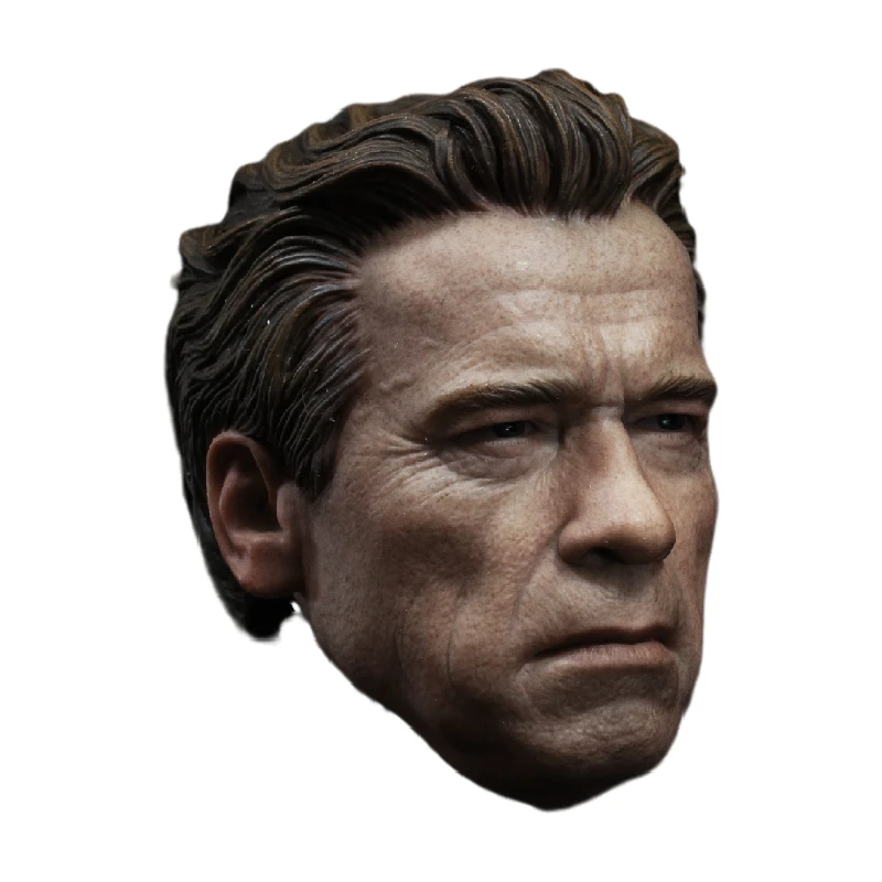 Custom Guardian 1/6 Head Sculpt for Muscular Hot Toys T800 Terminator Body for 12