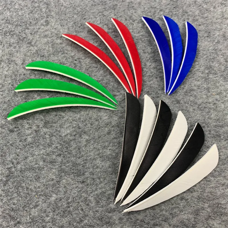 303557_no-logo_303557-3-02-g