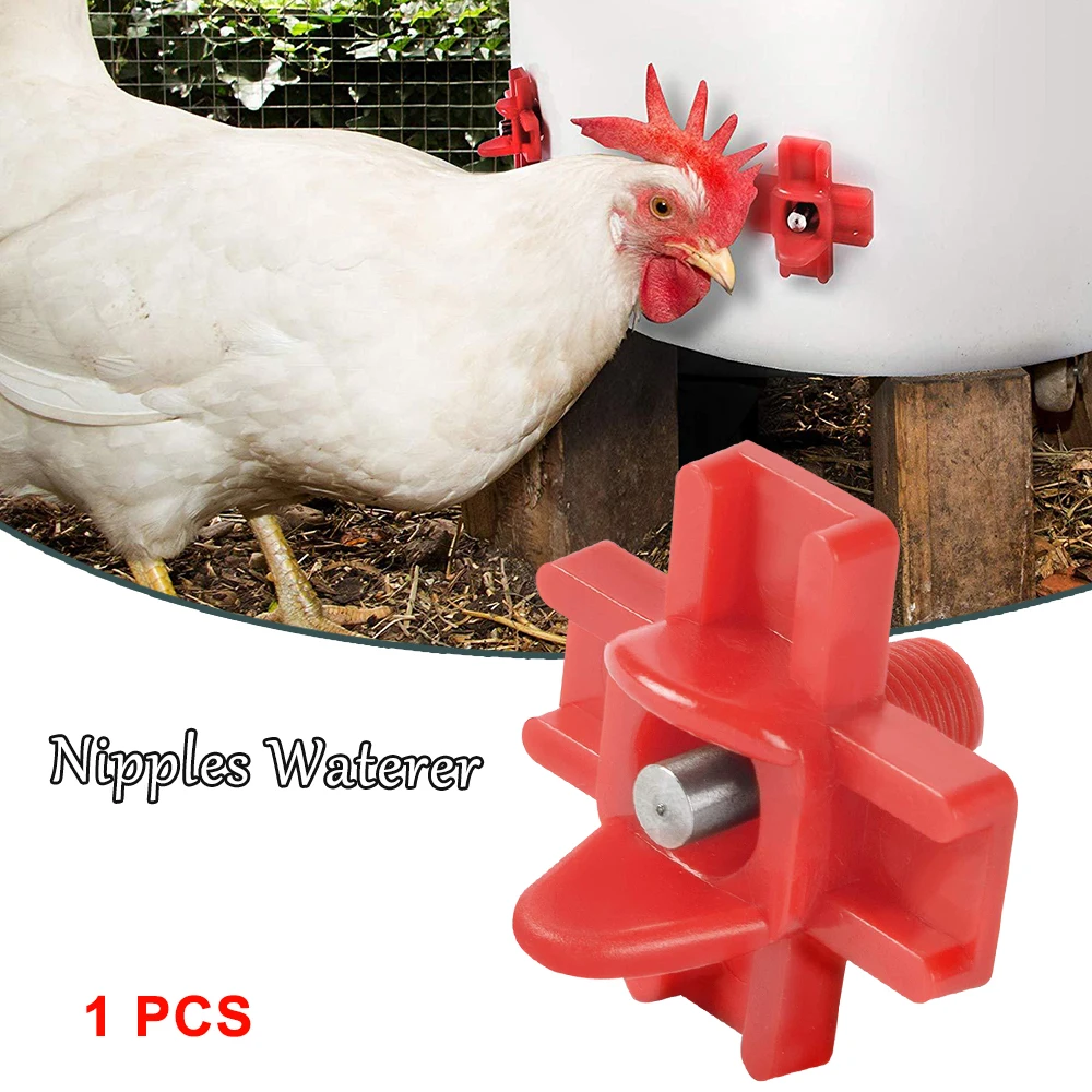Chicken Drinker Drinking Cups for Chickens red Quail Chicken Waterer Bowl Automatic Poultry Coop Feeder water Drinking Cups 3
