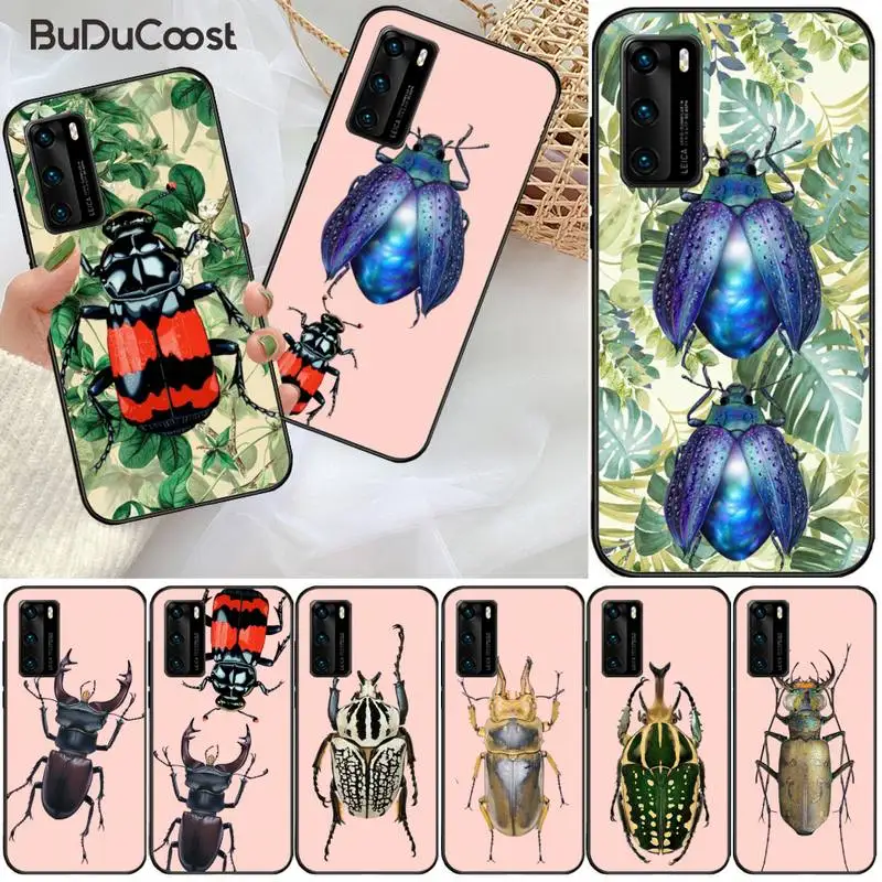 Beetles Insects Entomology Phone Case For Huawei P9 10 20 30 40 P Smart 20lite 2019 P30 lite Pro 2017 | Мобильные телефоны и
