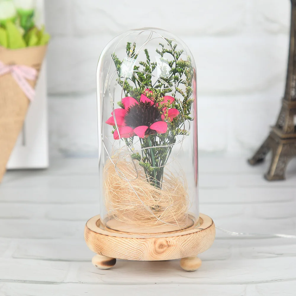 

Transparent Micro Landscape Dried Flower Glass Cover DIY Nuts Case Sun Flower Decoration