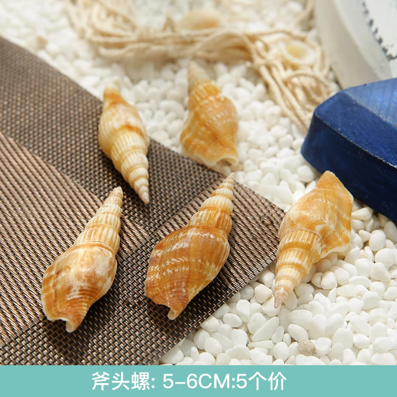 Натуральный ракушка рисовый раковины зеленый раковины белый кошачий глаз раковины аквариумные Животные украшения реквизит для детей DIY средиземноморские ремесла - Color: Army green