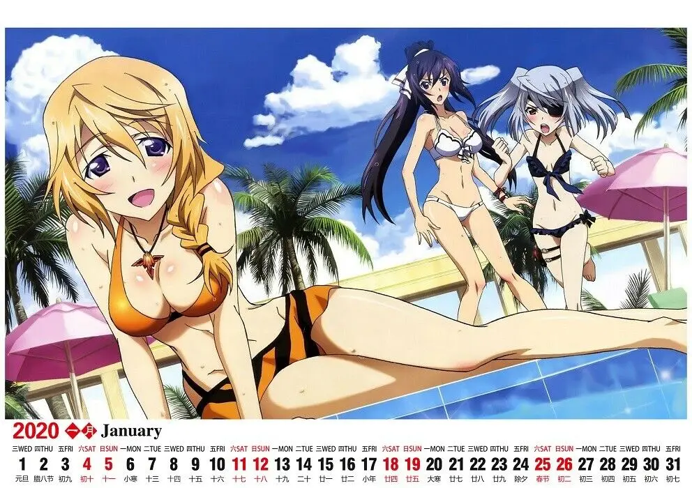 Аниме календарь Infinite Stratos Laura Bodewig Shinonono Houki Настольный календарь 13 страниц год