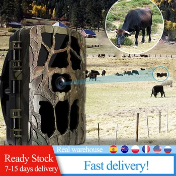 

4K 20MP Outdoor Hunting Trail Camera PK 801A Infrared Ful HD 0.2s Trigger Hunter Camera For Animal Fotografica Profesional
