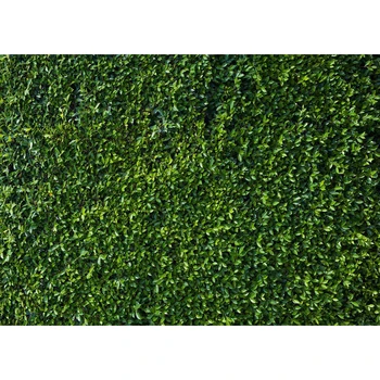 

Grass Green Screen Foliage Leaves Party Decor Photography Backgrounds Customized Photographic Backdrops for Photo Studio