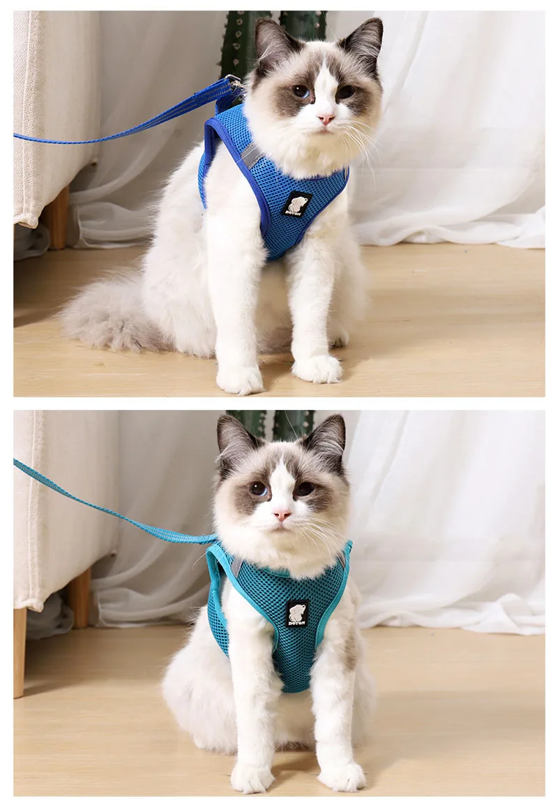 pet harness for cats