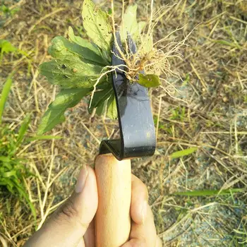 

Garden Planting Pickaxe Hoe Weeding Fork Weed Extractor Yard Lawn Hand Tool
