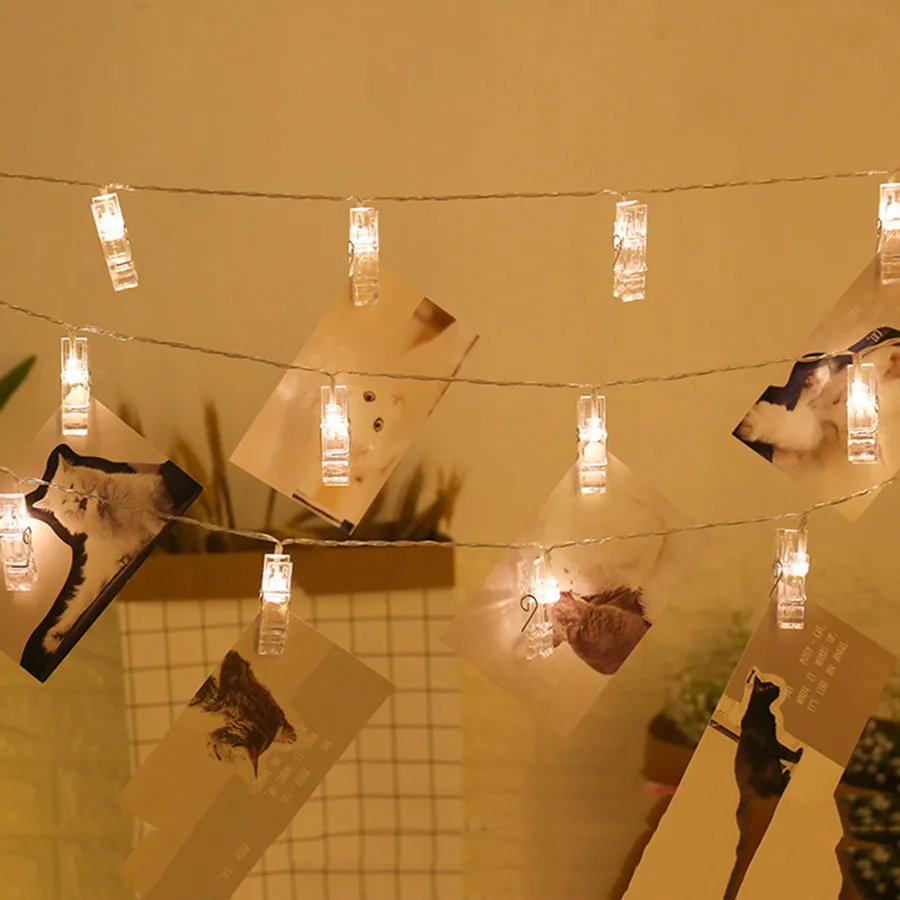 10803585618_1413716775