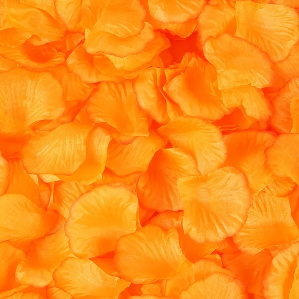 307542_no-logo_307542-2-05-g