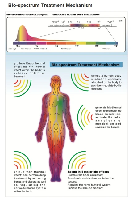 Bio Spectrum Treatment Device