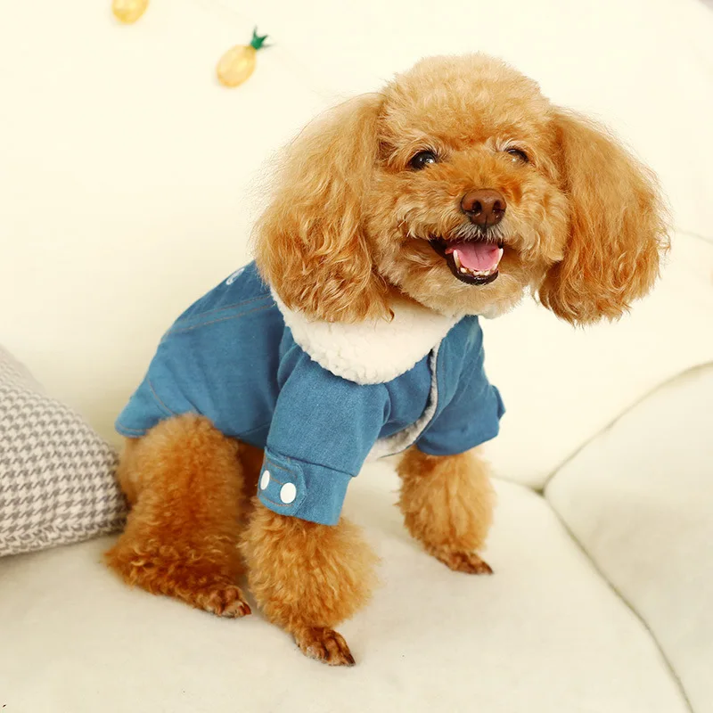 11628244789_1853267267