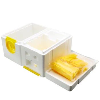 

Honey Beehive Frames Beekeeping King Box Pollination Box Foam Frames Beekeeping Tool Kit Copulation Beekeeping Equipment Box