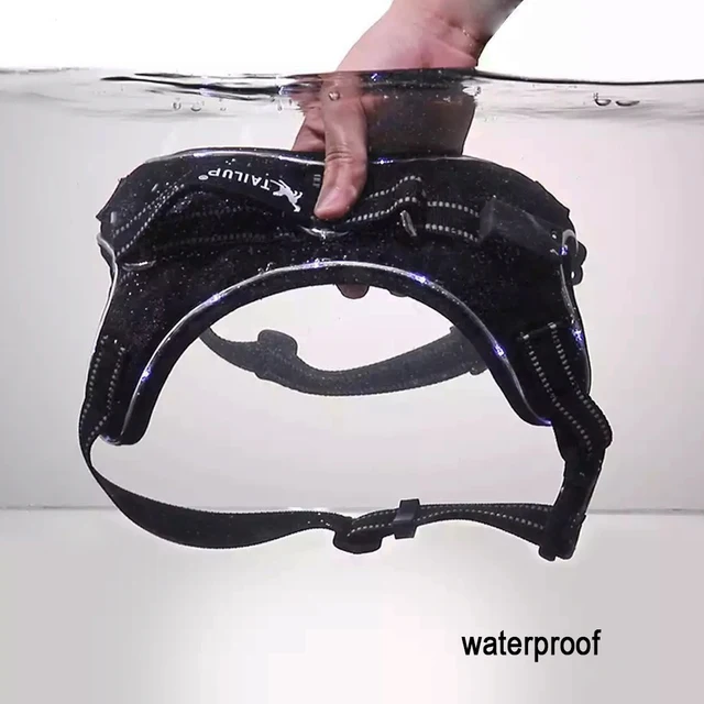Rechargeable LED Dog Harness