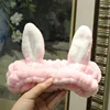 Pink Rabbit
