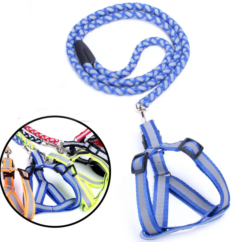 leash4
