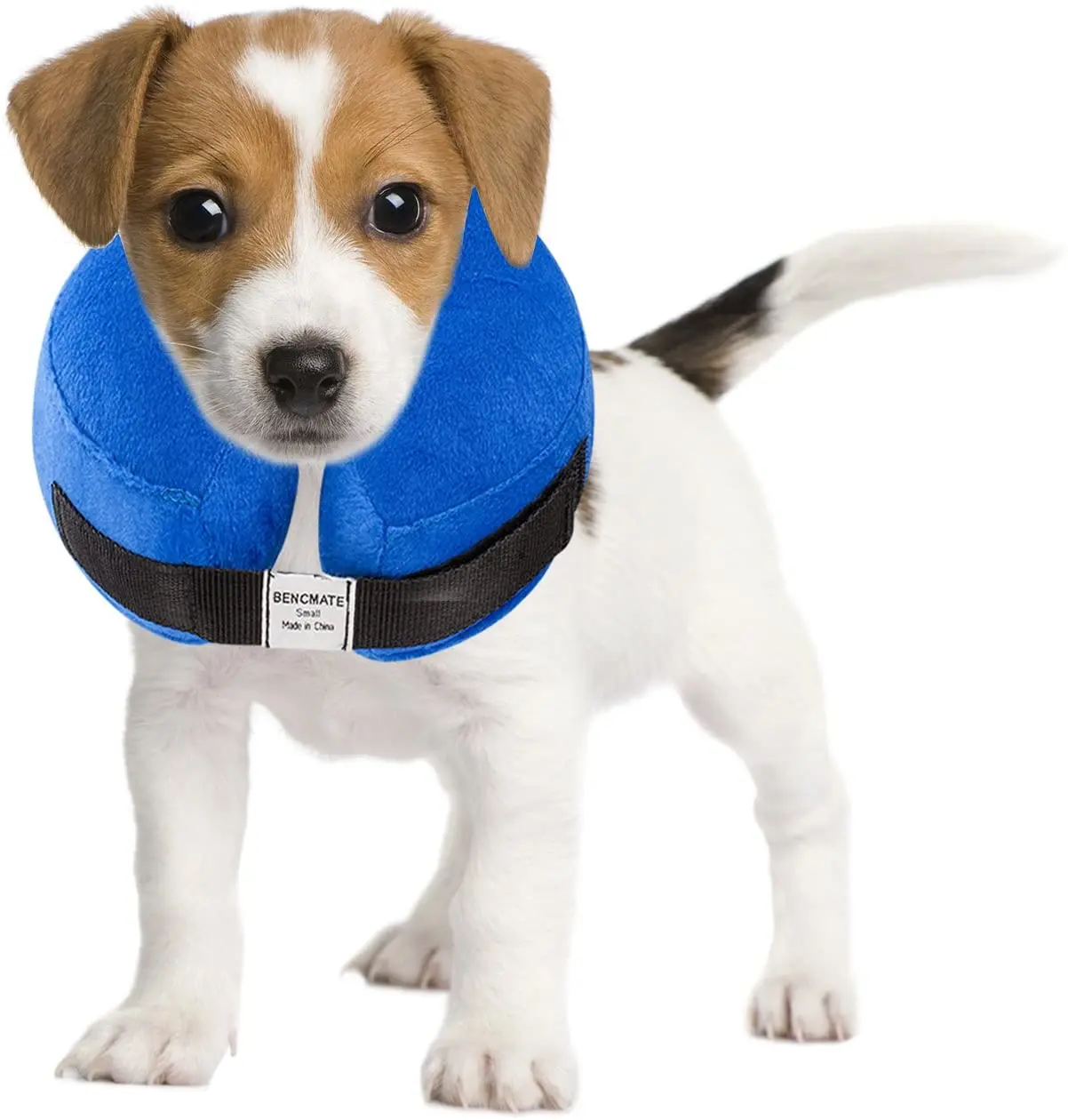 dog blow up cone