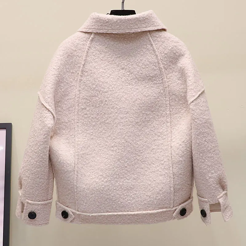Меховые женские пальто новая волна корейская мода Свободный дикий короткий шерстяной кардиган куртка пальто женский осенний и зимний мех
