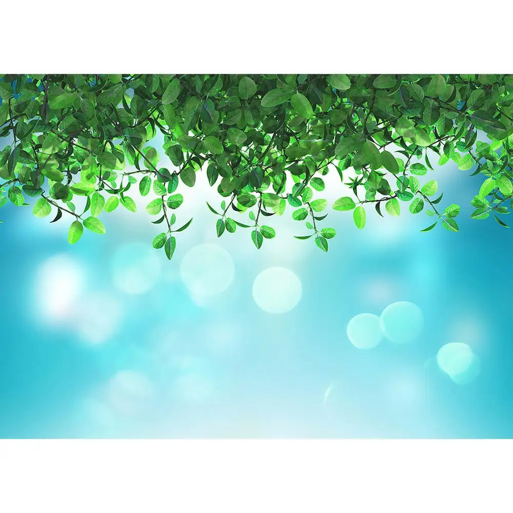    bokeh ޲ٴ Ȱ    ̺   ʻȭ   Ʃ ǰ