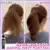 PUMP-HAIR™ Extra-Volume Magic Spray Hair Voluming Spray Пушистый Гель Для Укладки волос