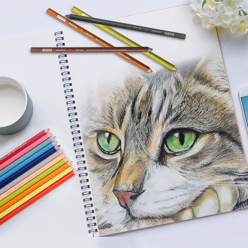 Prismacolor-lápices de colores al óleo para dibujar, bocetos, material  escolar de arte, caja de lata, Jardín Secreto, 24, 36, 48, 72, 132, 150 -  AliExpress