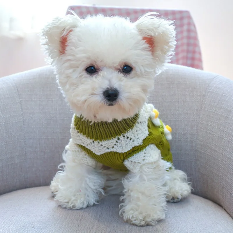 Dog Sweater Warm Pet Sweater Dog Sweaters for Small Dogs Medium Dogs Cute  Knitted Classic Sweater for Girls Boys Puppy Cat - AliExpress