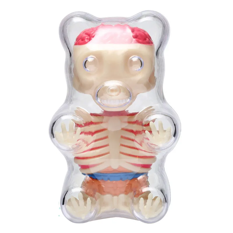 

master puzzle Assembling toy Perspective bone anatomy model Small bear 4d