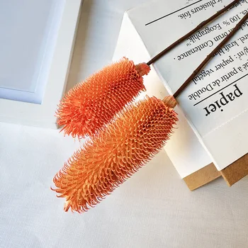 

Factory Wholesale Picking Fruit Dried Flowers Bouquet Art Dried Nordic Ins Arrangements New Year Home Decoration