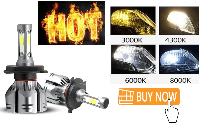 800X500