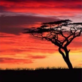 

Diy Diamond Painting Full Round Drill Diamond Embroidery Xmas Gifts Landscape Grassland Sunset