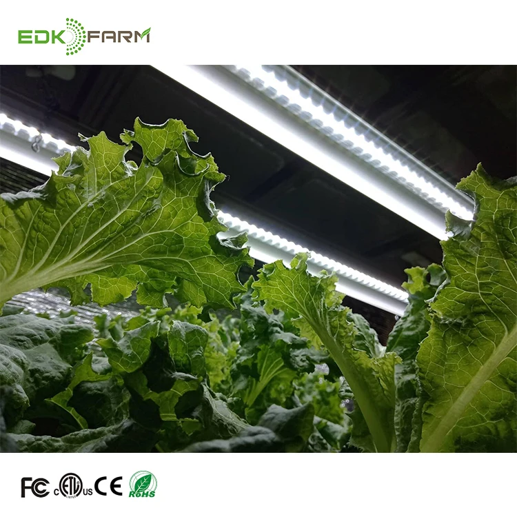 

mushroom farms canada hydro mini power plant mushroom bulb t5 grow light