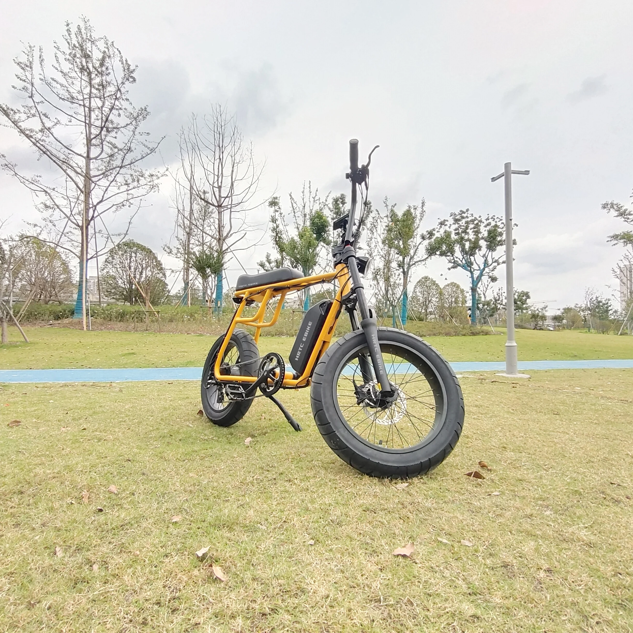 ATV 20 дюймов fat ebike 48V 1000w BAFANG мотор супер мощный Электрический Ebike Ретро дизайн 7